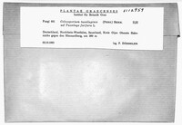 Image Associated With the Occurence